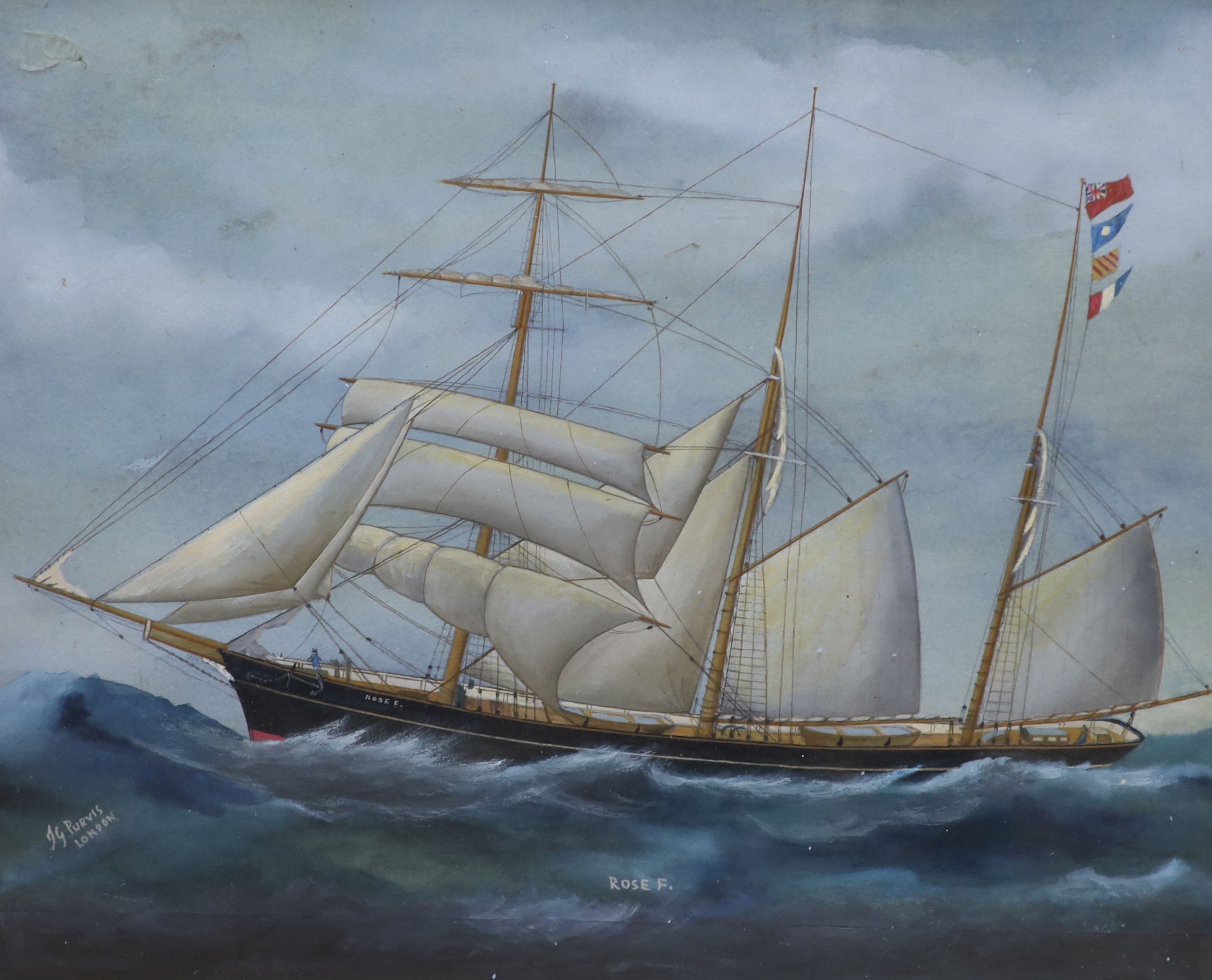 T.G Purvis, watercolour and gouache, The Barquetine Rose F, signed, 38 x 46cm